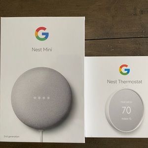 Google Nest Mini and Nest Thermostat